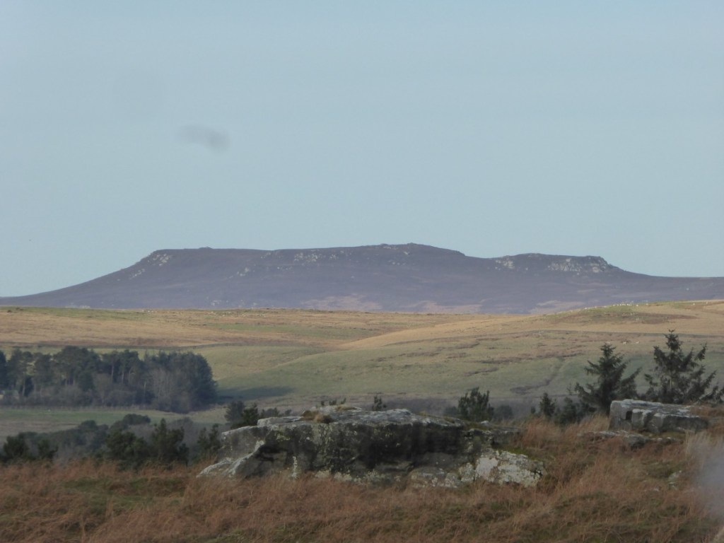 Northumberland countryside near a 3Farm Honey apiary