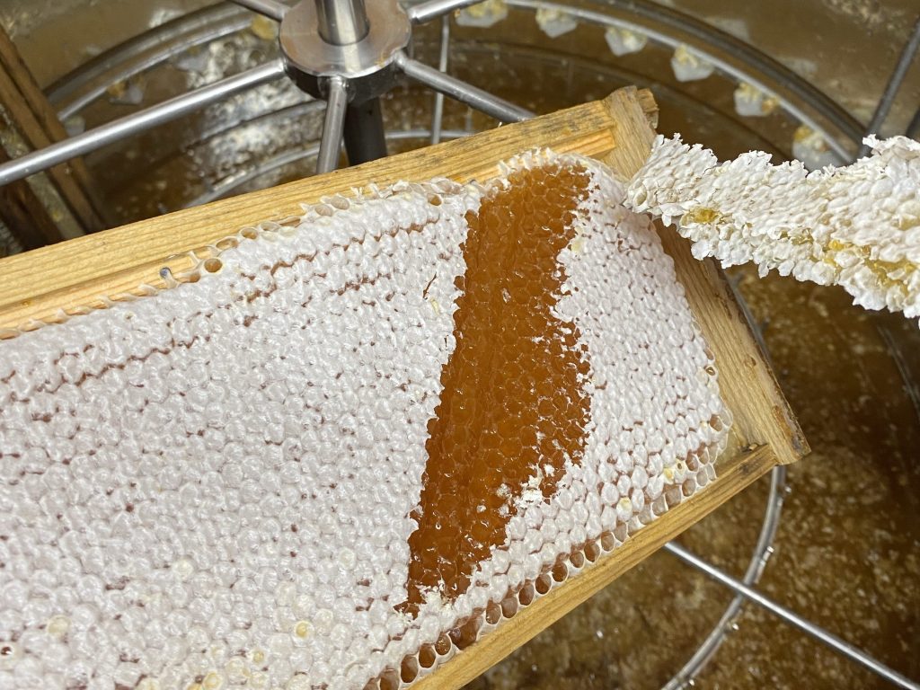 Honeycomb from a 3Farm hive